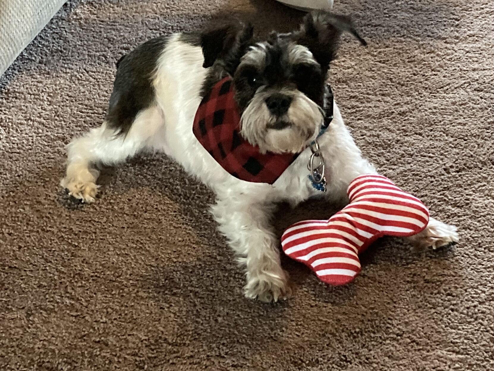 Sadie Mae